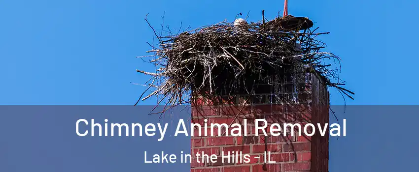  Chimney Animal Removal Lake in the Hills - IL