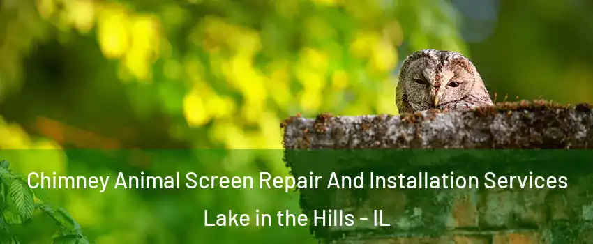  Chimney Animal Screen Repair And Installation Services Lake in the Hills - IL