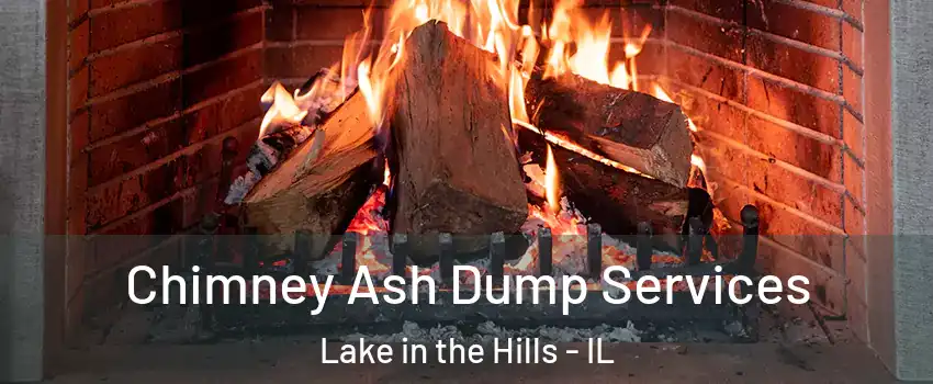 Chimney Ash Dump Services Lake in the Hills - IL