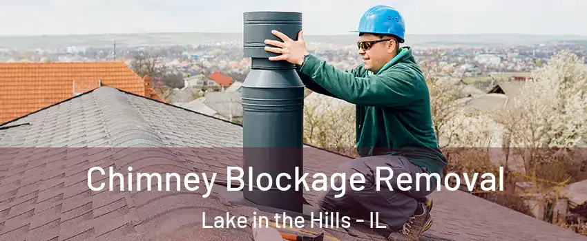  Chimney Blockage Removal Lake in the Hills - IL