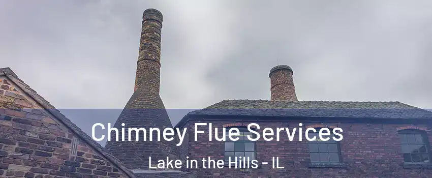 Chimney Flue Services Lake in the Hills - IL