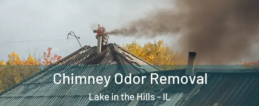  Chimney Odor Removal Lake in the Hills - IL