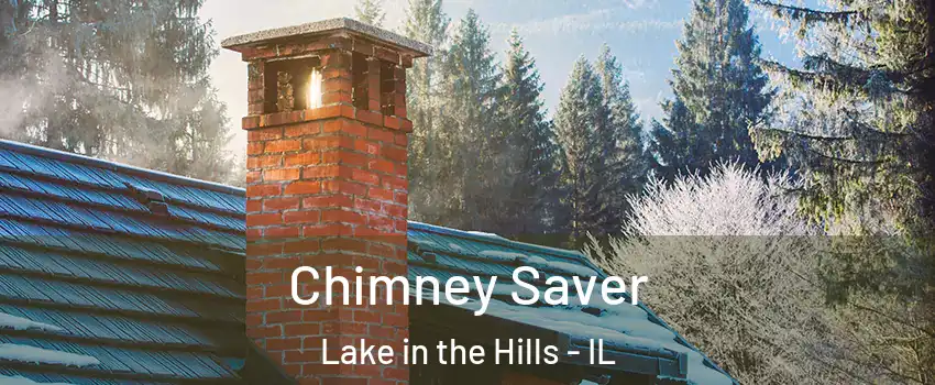  Chimney Saver Lake in the Hills - IL