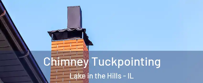  Chimney Tuckpointing Lake in the Hills - IL