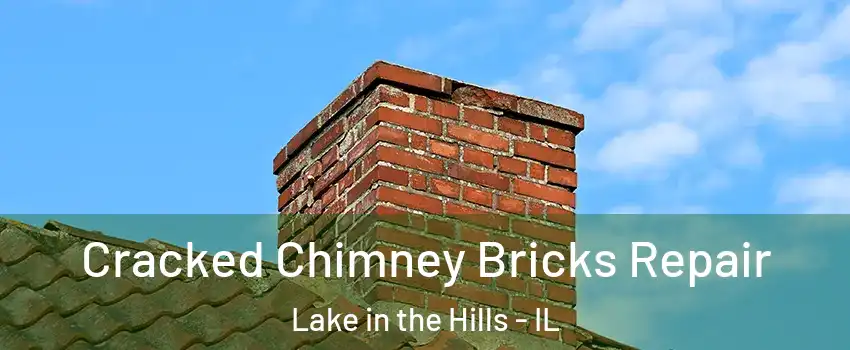  Cracked Chimney Bricks Repair Lake in the Hills - IL