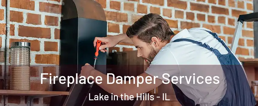  Fireplace Damper Services Lake in the Hills - IL