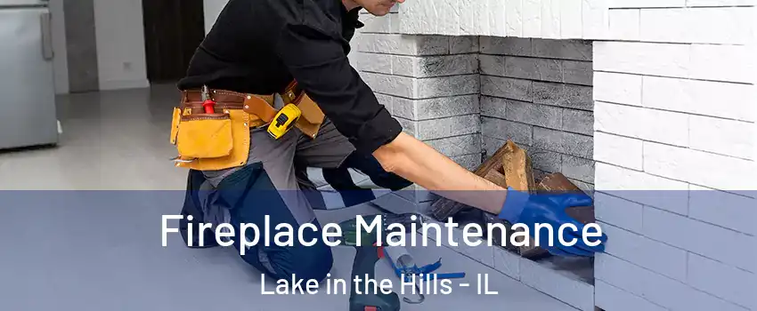  Fireplace Maintenance Lake in the Hills - IL