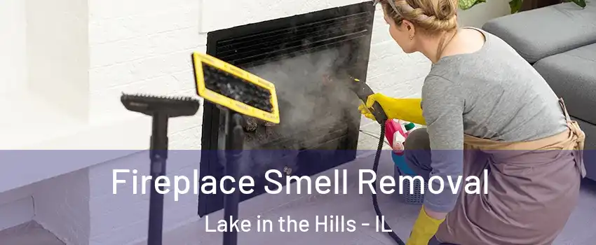  Fireplace Smell Removal Lake in the Hills - IL