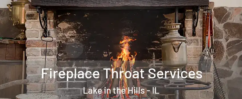 Fireplace Throat Services Lake in the Hills - IL