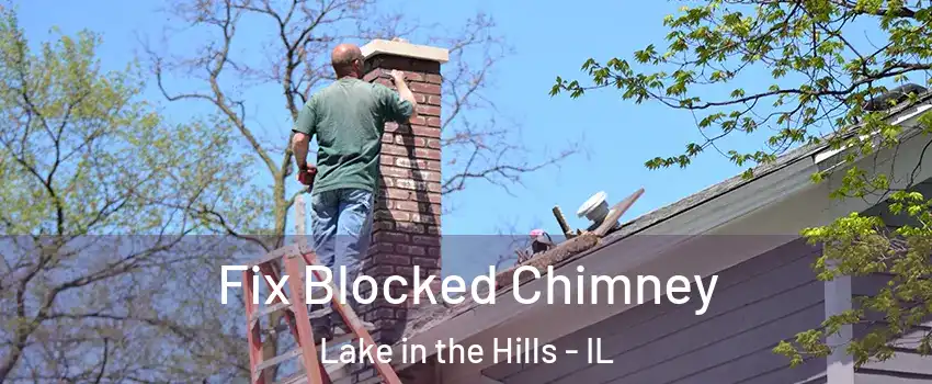  Fix Blocked Chimney Lake in the Hills - IL