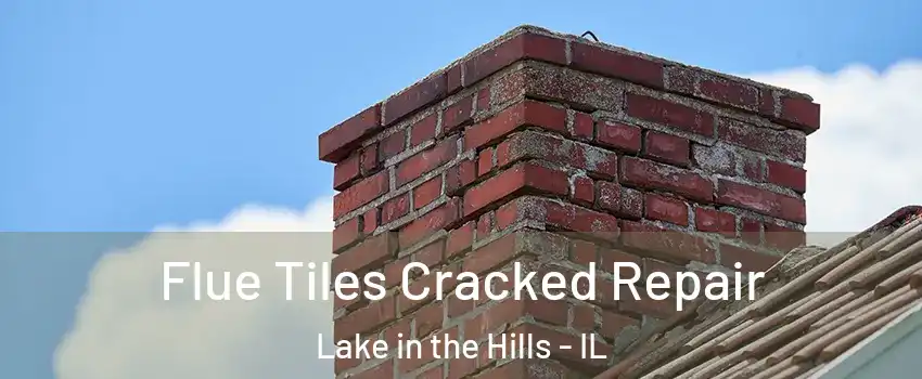 Flue Tiles Cracked Repair Lake in the Hills - IL