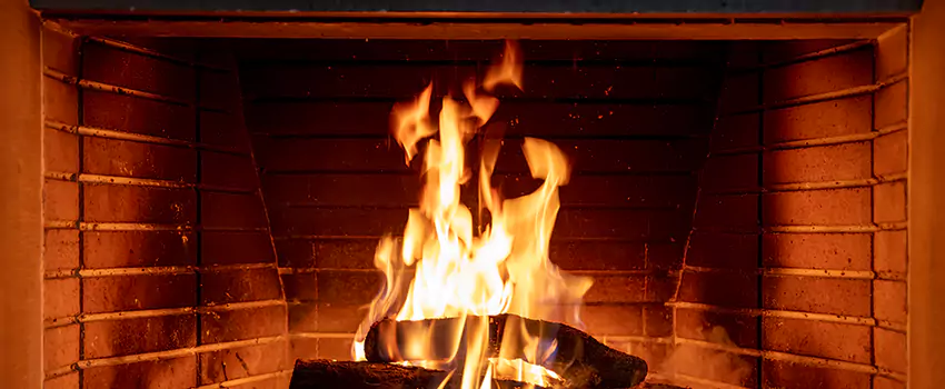 Soot Cleanup Services in Lake in the Hills, IL
