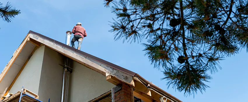 Birds Removal Contractors from Chimney in Lake in the Hills, IL