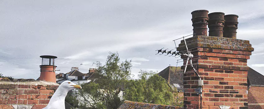 Chimney Cleaning And Restoration in Lake in the Hills, Illinois