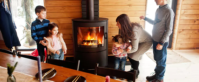 Jøtul Gas Fireplace Inspection Service in Lake in the Hills, Illinois