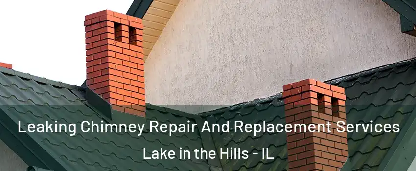  Leaking Chimney Repair And Replacement Services Lake in the Hills - IL