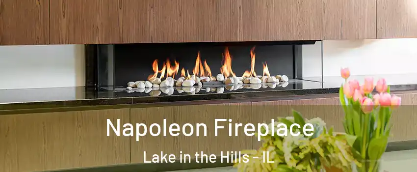  Napoleon Fireplace Lake in the Hills - IL