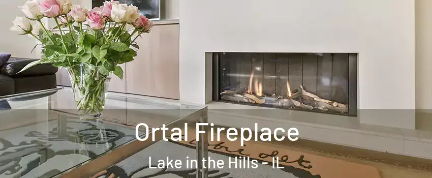  Ortal Fireplace Lake in the Hills - IL