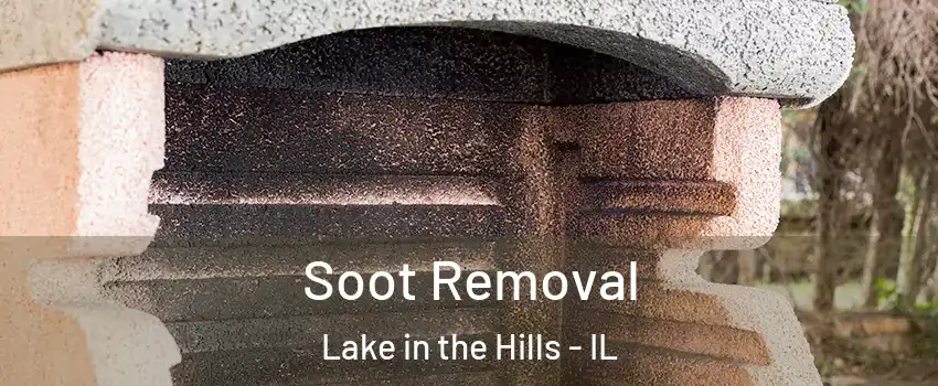  Soot Removal Lake in the Hills - IL